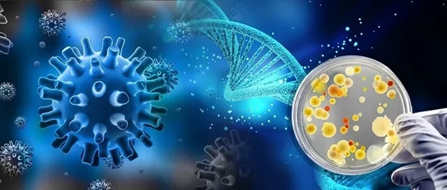  Protein Vi Sinh Vật Băng Giá – Công Tắc Lượng Tử Ánh Sáng Đầy Hứa Hẹn