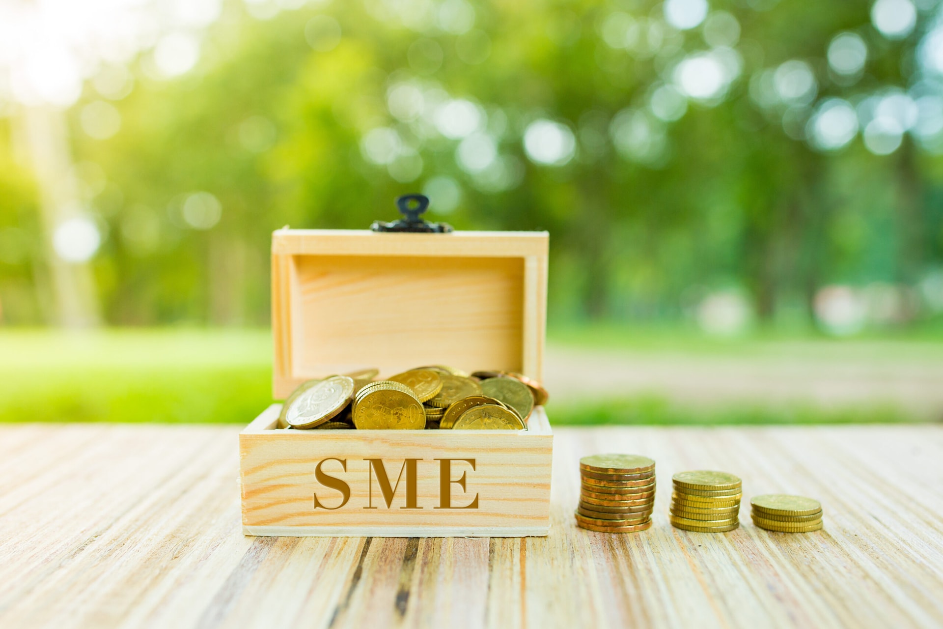 Giải pháp tài chính xanh cho SMEs: Xu hướng phát triển bền vững trong kỷ nguyên kinh tế xanh