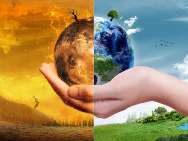 Cải Tạo Môi Trường Ở Việt Nam: Thực Trạng, Nỗ Lực và Hướng Đi Tương Lai